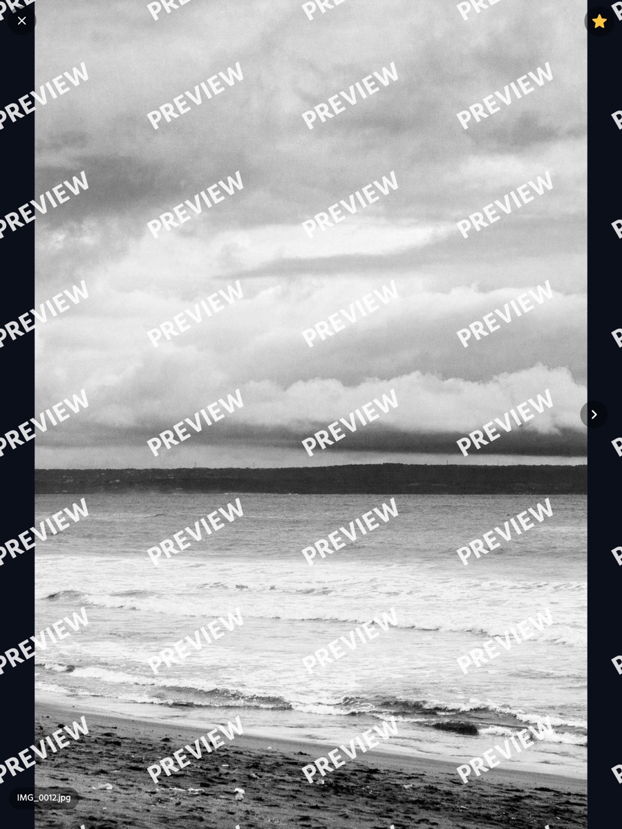 One photo full screen with the watermark across it